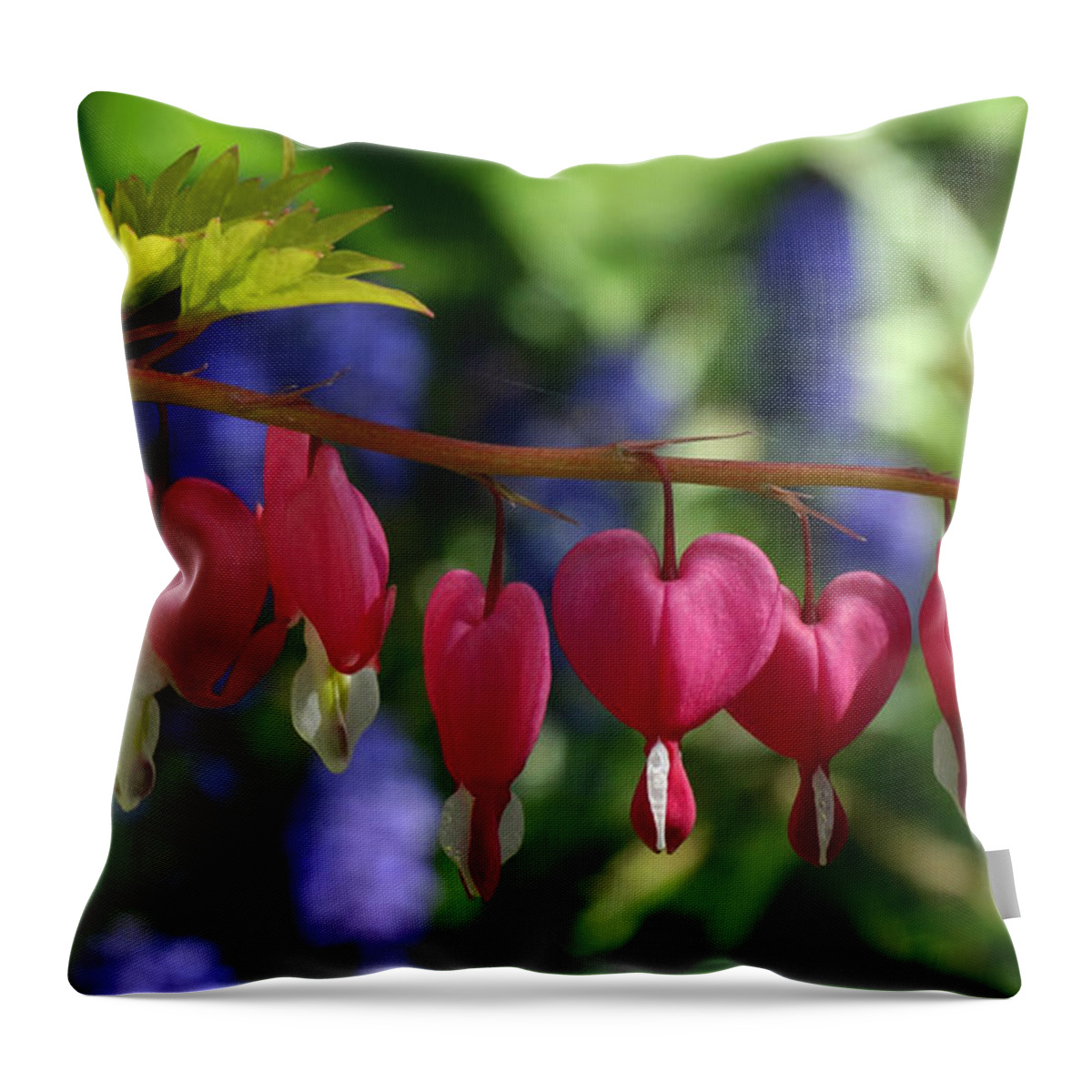Flowers Throw Pillow featuring the photograph Bleeding Hearts by David T Wilkinson