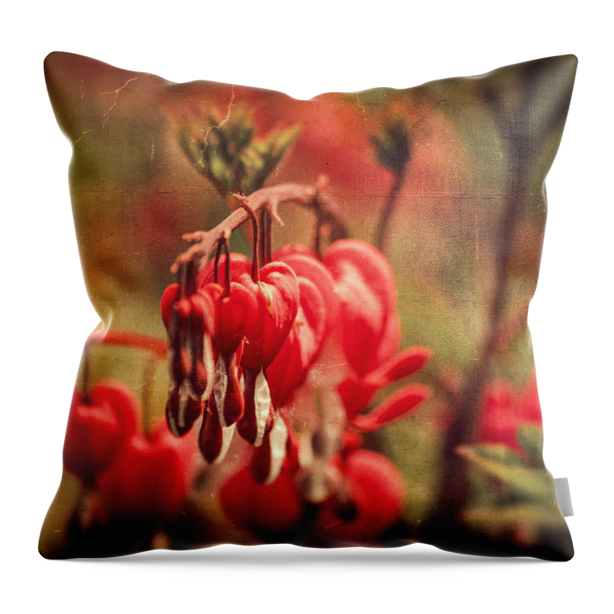 Love Throw Pillow featuring the photograph Bleeding Hearts by Spikey Mouse Photography