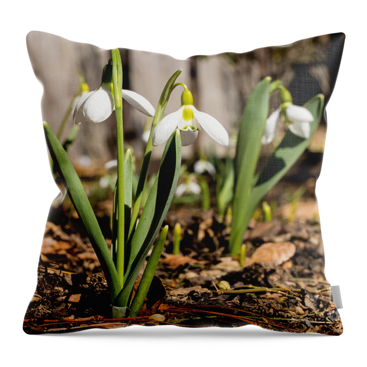 Snowbell Throw Pillow featuring the photograph Blooming Snowbells by Brad Marzolf Photography