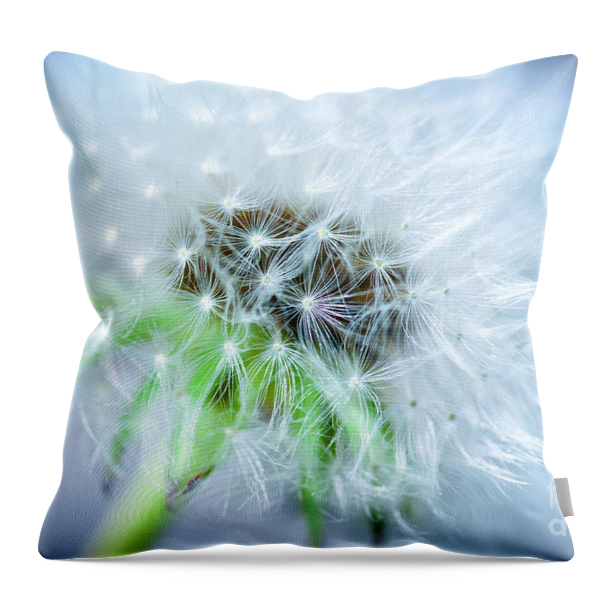 Blossom Throw Pillow featuring the photograph Blowball - blue by Hannes Cmarits