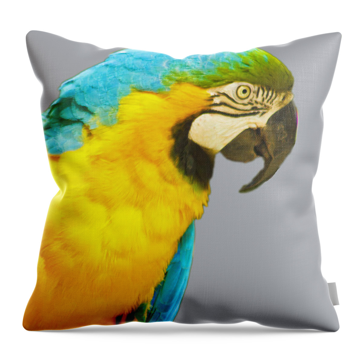 Macaw Throw Pillow featuring the photograph Blue and Gold Macaw by Bill Barber