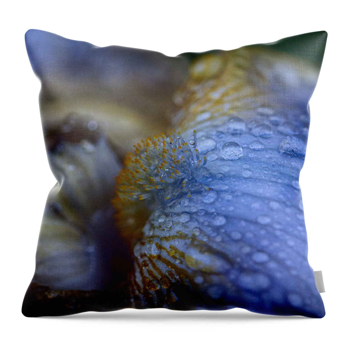 Bearded Iris Throw Pillow featuring the photograph Blue Danube by Jeff Folger