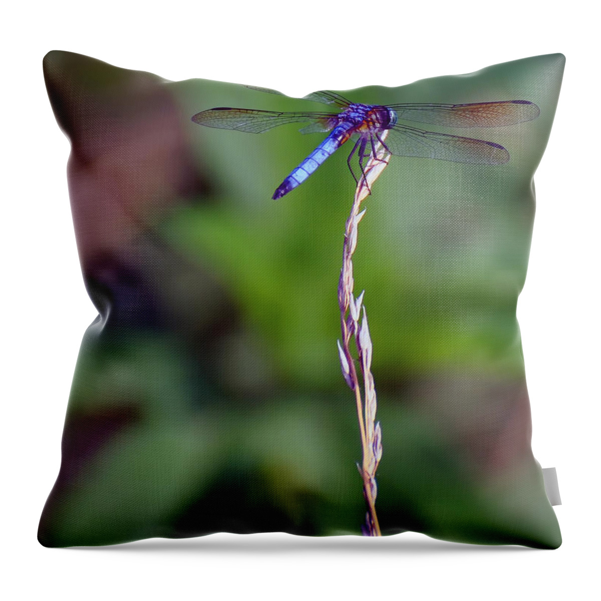 Dragonfly Throw Pillow featuring the photograph Blue Dragonfly On A Blade Of Grass by Flees Photos