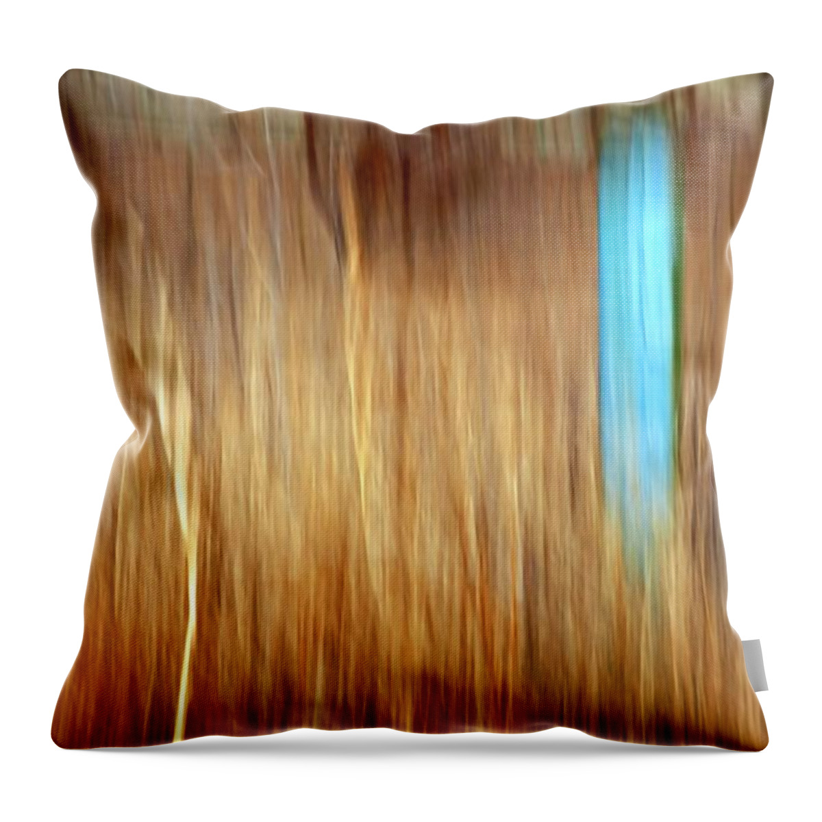 Outdoors Throw Pillow featuring the photograph Blue Fencepost by Theresa Tahara