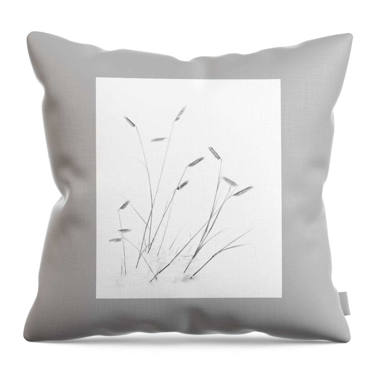 Blue Grama Throw Pillow featuring the photograph Blue Grama Grass in Snow by Mary Lee Dereske