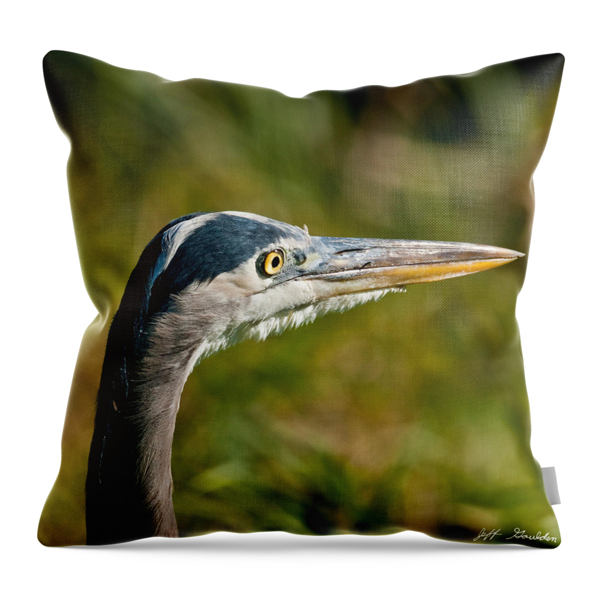 Adult Throw Pillow featuring the photograph Blue Heron by Jeff Goulden