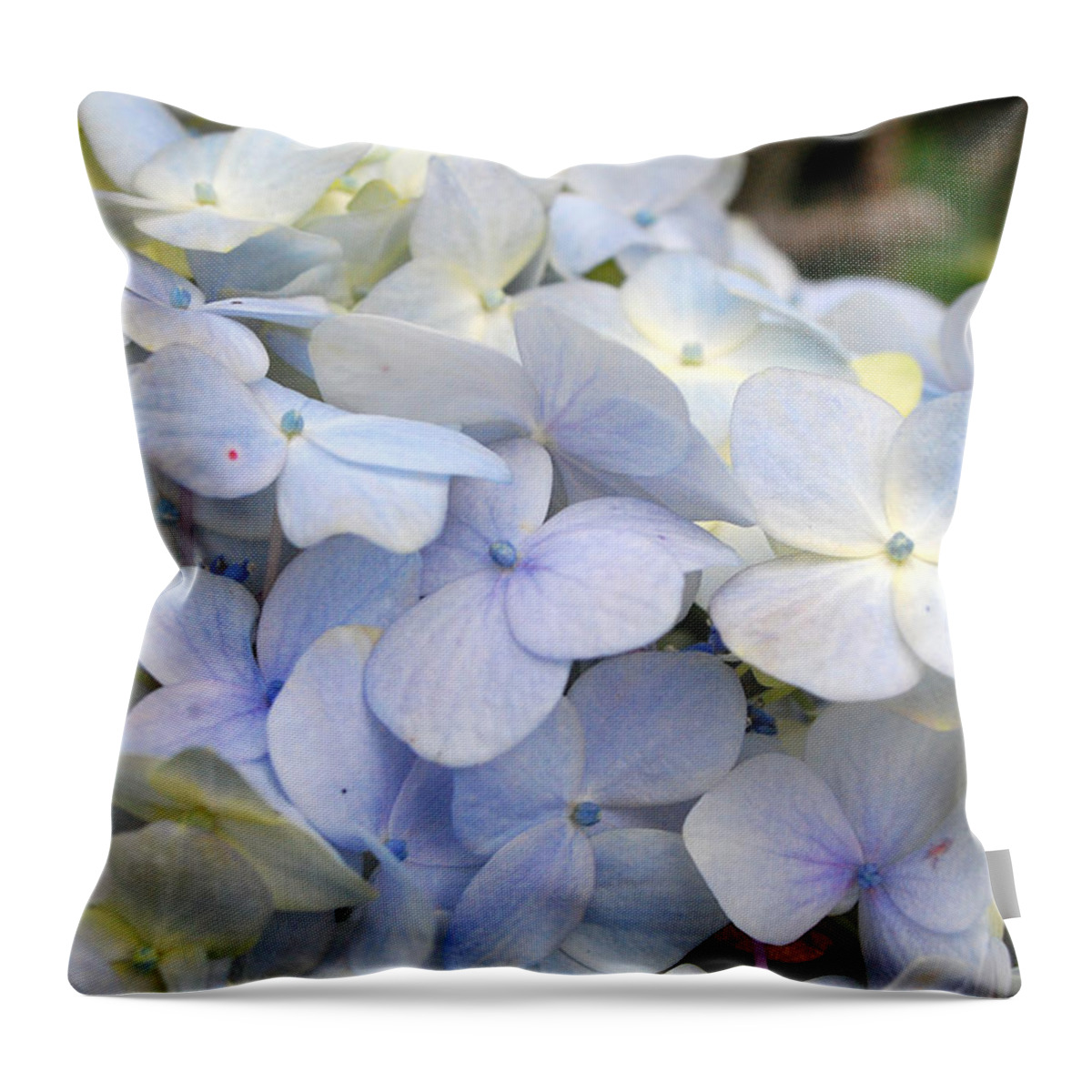 Flower Throw Pillow featuring the photograph Blue Hydrangea Flowers by Amy Fose