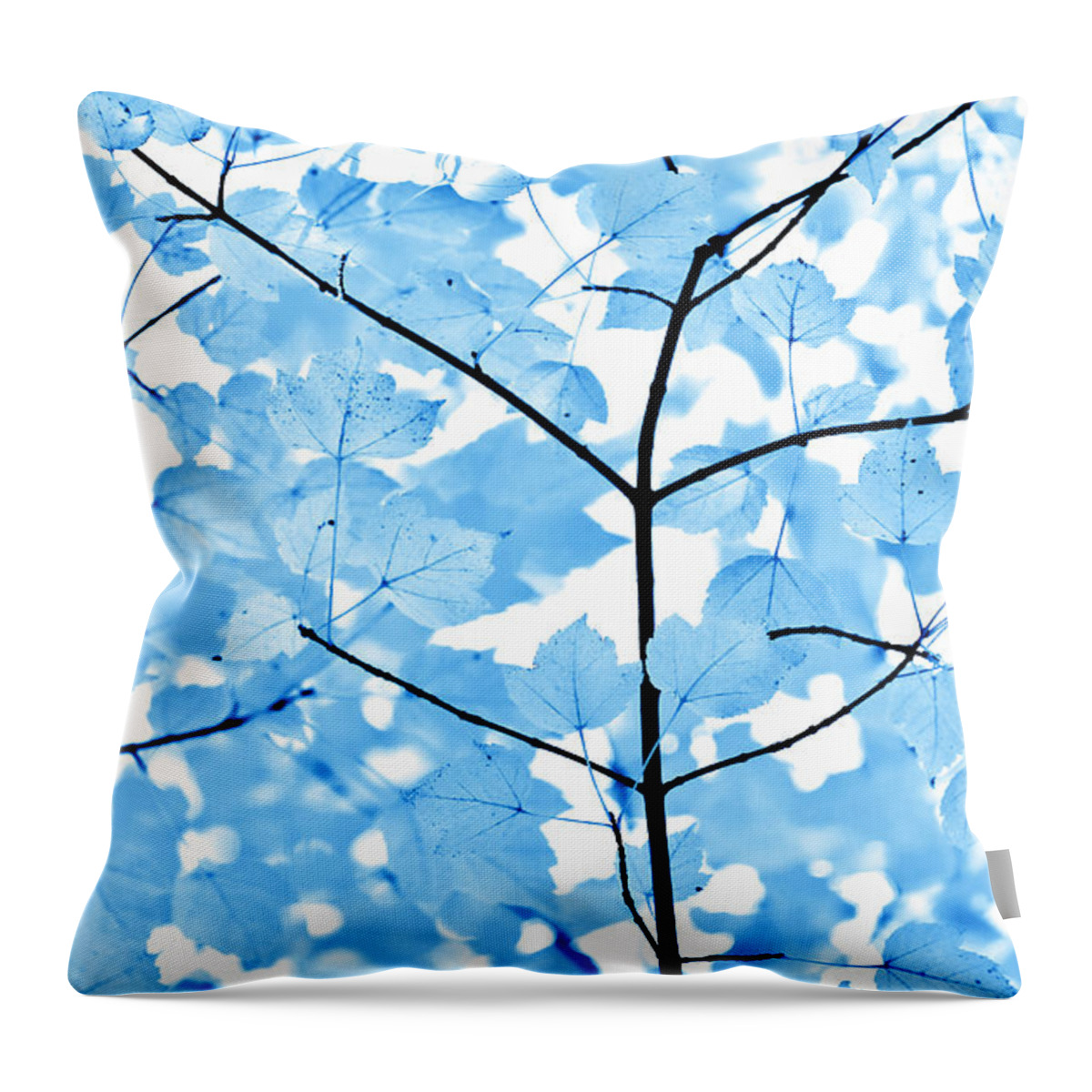 Leaf Throw Pillow featuring the photograph Blue Leaves Melody by Jennie Marie Schell