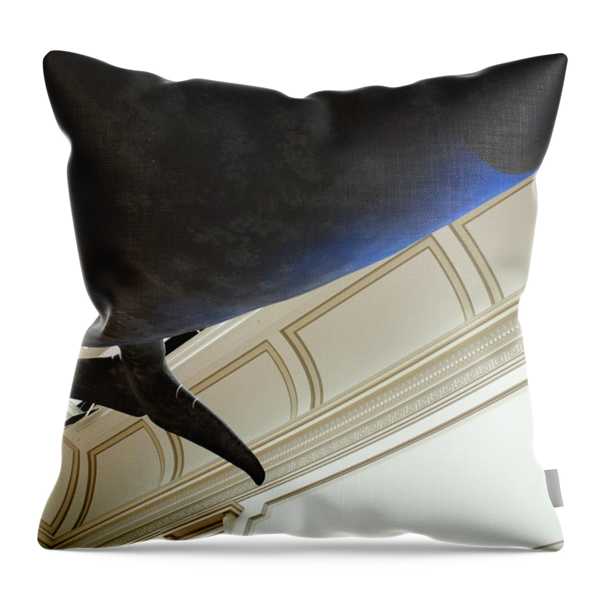 Blue Whale Throw Pillow featuring the photograph Blue Whale Experience by Kenny Glover