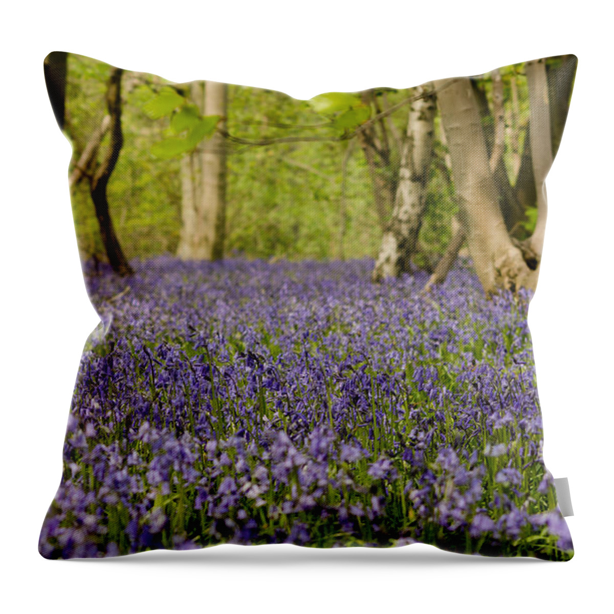 Forest Throw Pillow featuring the photograph Bluebell Woods by Spikey Mouse Photography
