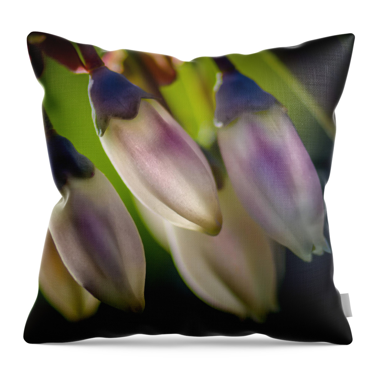 Blueberry Throw Pillow featuring the photograph Blueberry Blossom by James Barber