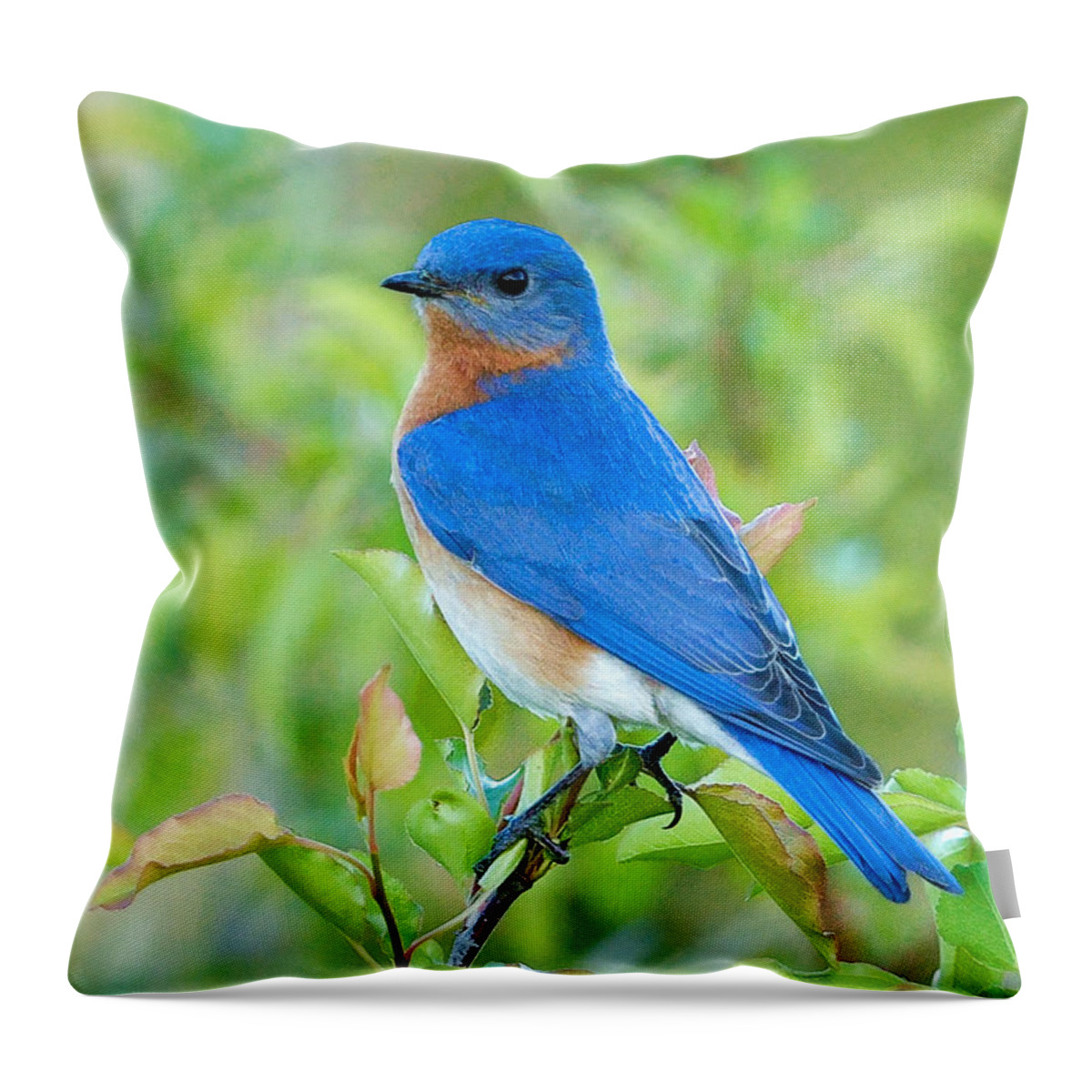 Bluebird Throw Pillow featuring the photograph Bluebird Joy by William Jobes