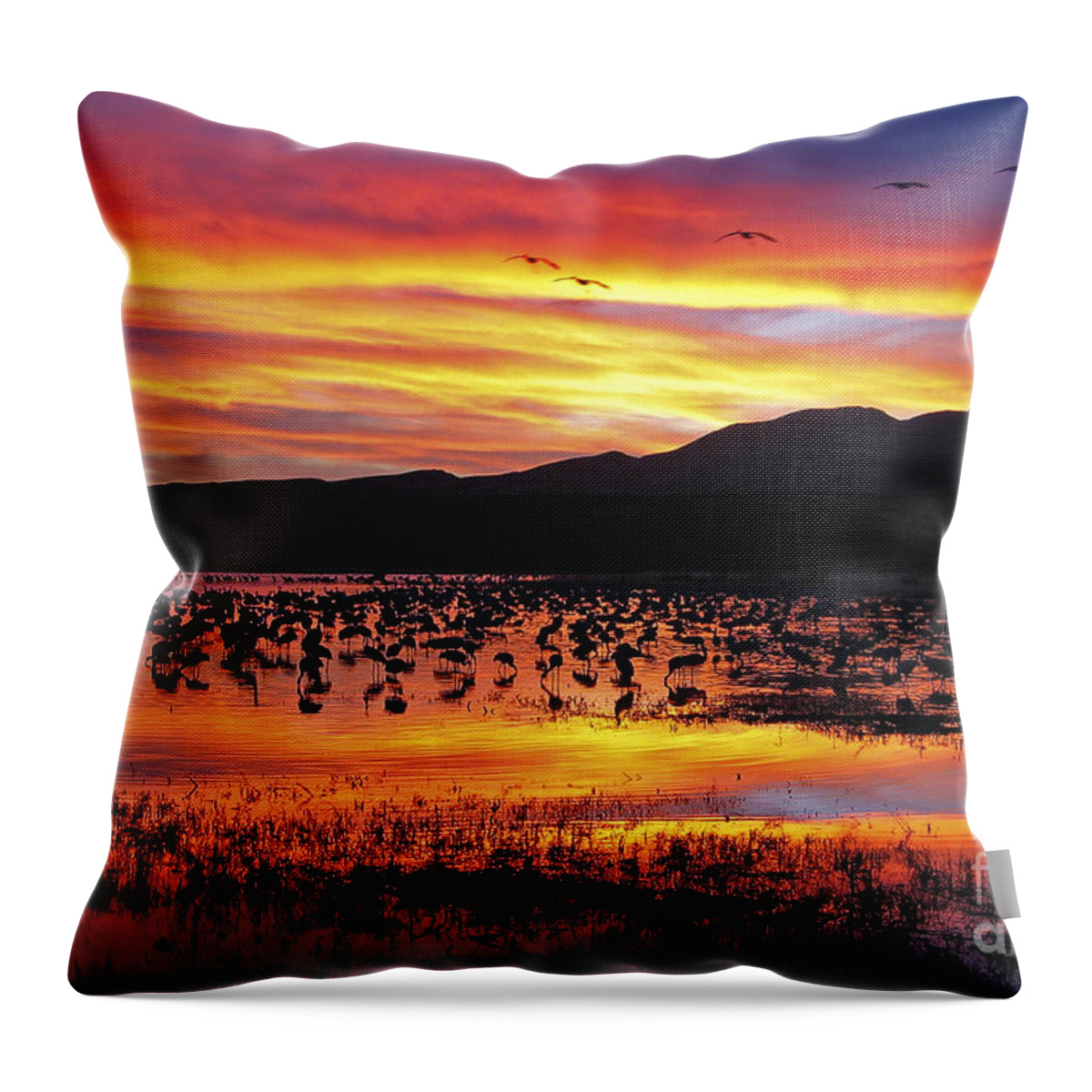 Ralser Throw Pillow featuring the photograph Bosque sunset II by Steven Ralser