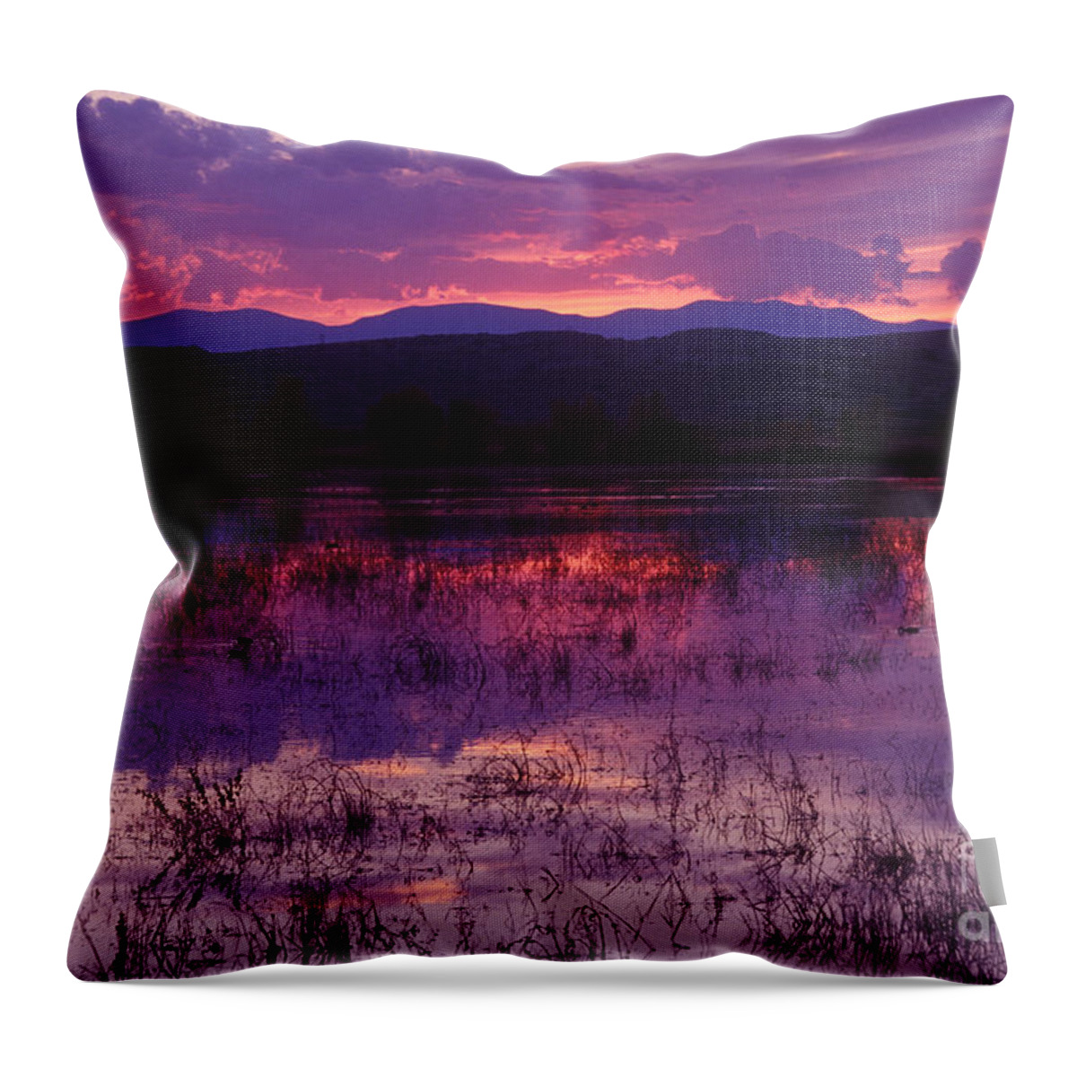 Bosque Throw Pillow featuring the photograph Bosque sunset - purple by Steven Ralser