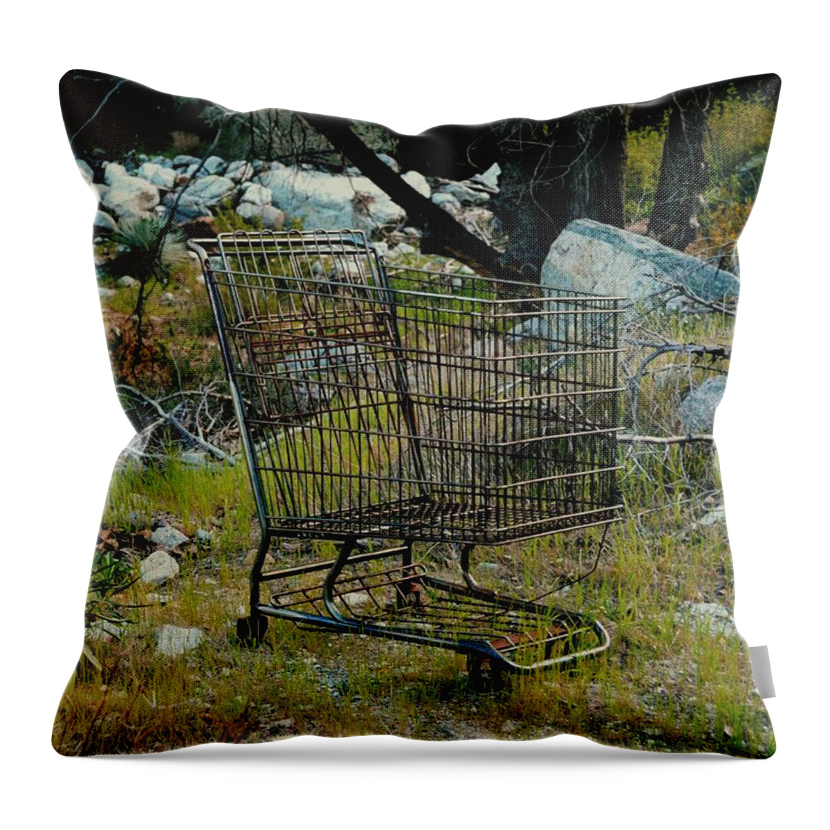 Shopping Cart Throw Pillow featuring the photograph Boulder Market by Laureen Murtha Menzl