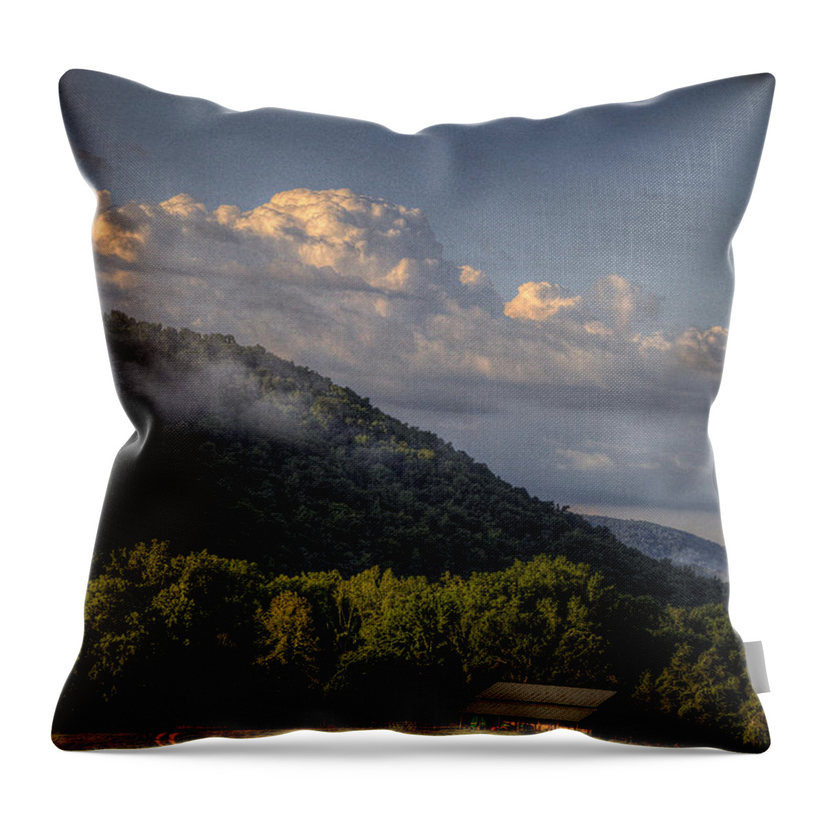 Landscape Throw Pillow featuring the photograph Boxley Valley Barn by Michael Dougherty