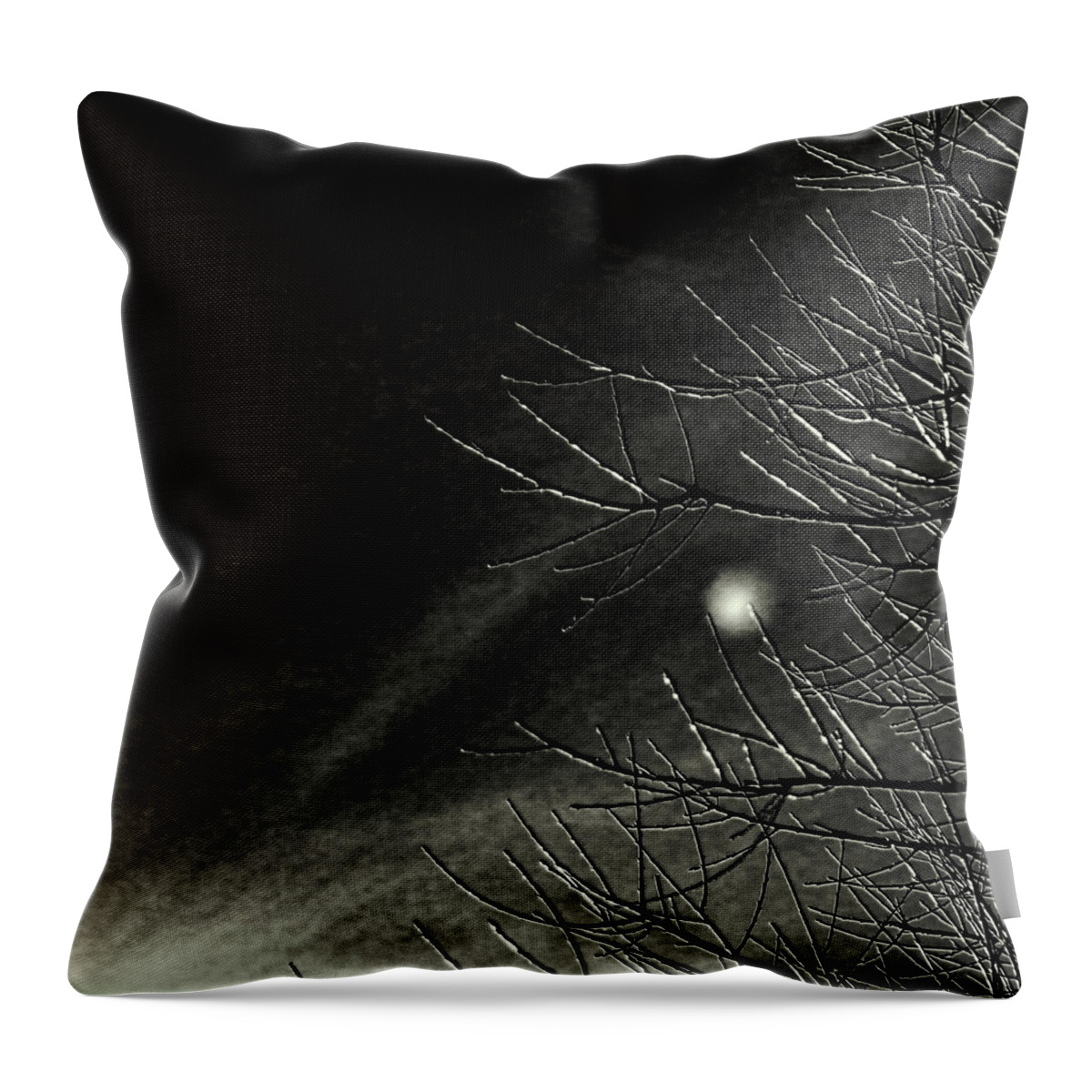 Infrared Throw Pillow featuring the photograph Branching Out by Kate Hannon