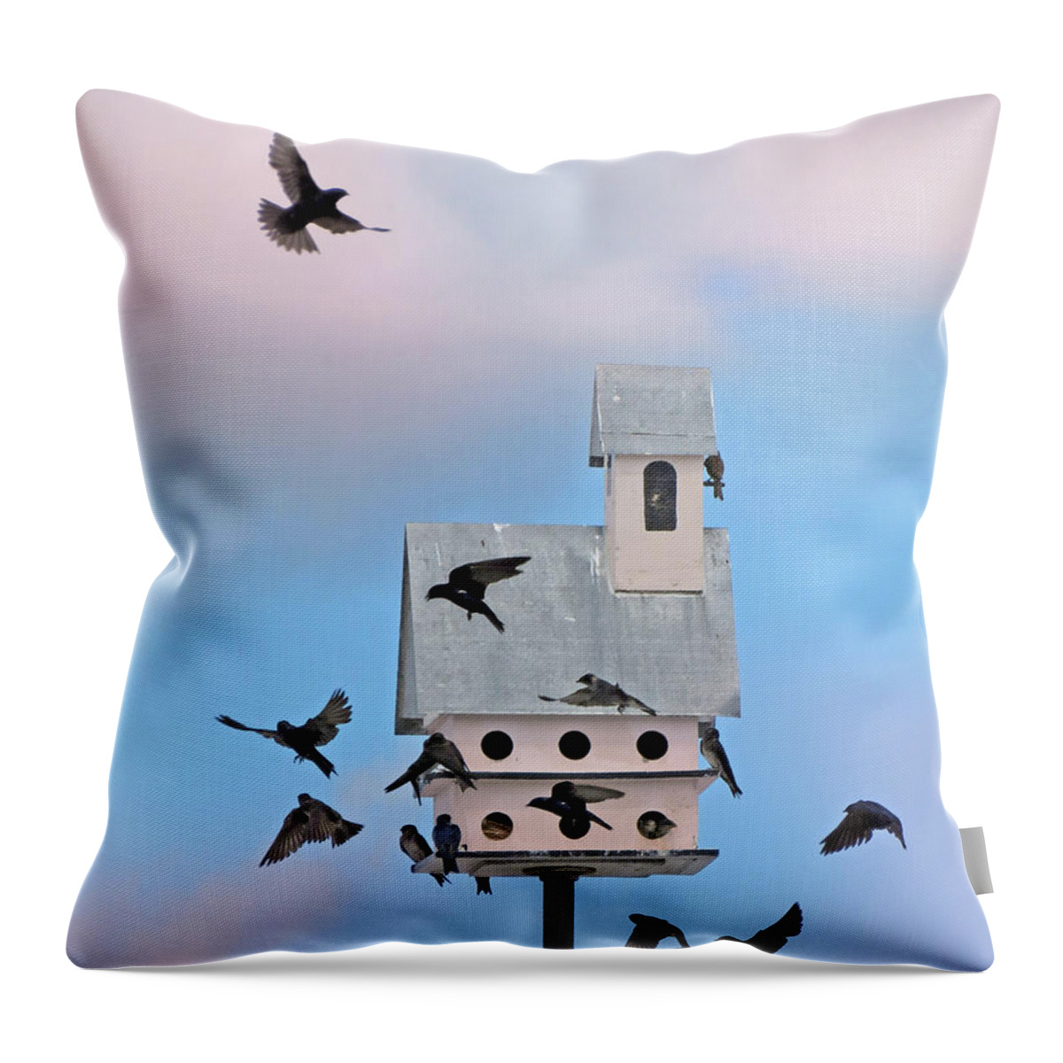 Birds Throw Pillow featuring the photograph Brealfast at the Martin House by Deborah Smith