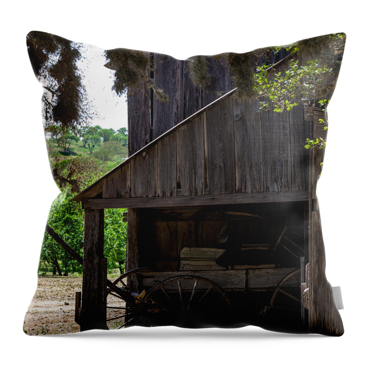 Barn Throw Pillow featuring the photograph Buggy in the Barn by Ed Gleichman