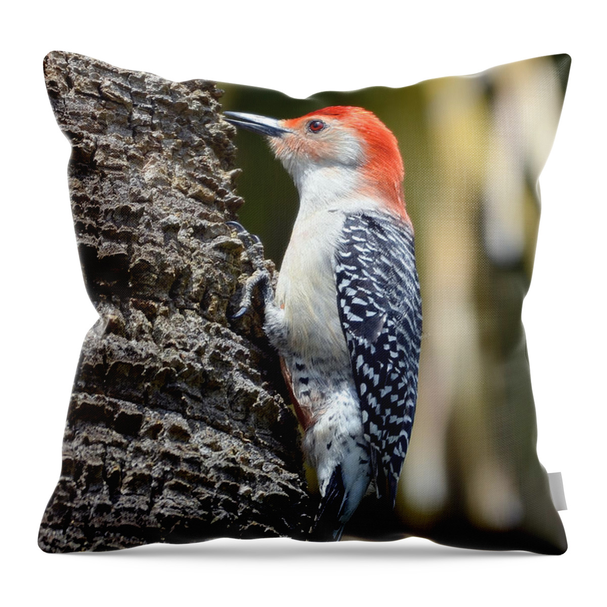 Woodpecker Throw Pillow featuring the photograph Building A Home by Kathy Baccari