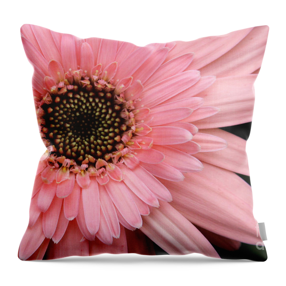 Flower Throw Pillow featuring the photograph Burst of Pink by Jayne Carney