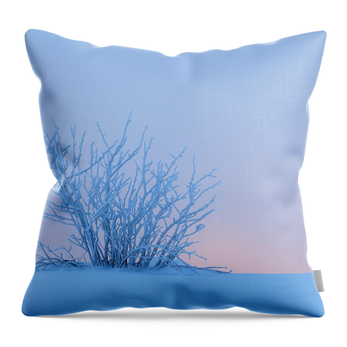 Heike Odermatt Throw Pillow featuring the photograph Bush In Snow In Morning Vosges France by Heike Odermatt