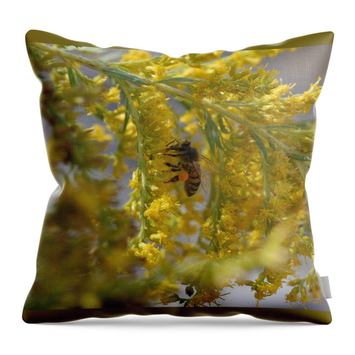 Bee Throw Pillow featuring the photograph Visiting Bee on Goldenrod by Valerie Collins