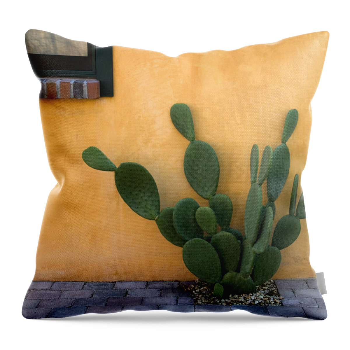 Tucson Throw Pillow featuring the photograph Cactus and Yellow Wall by Carol Leigh