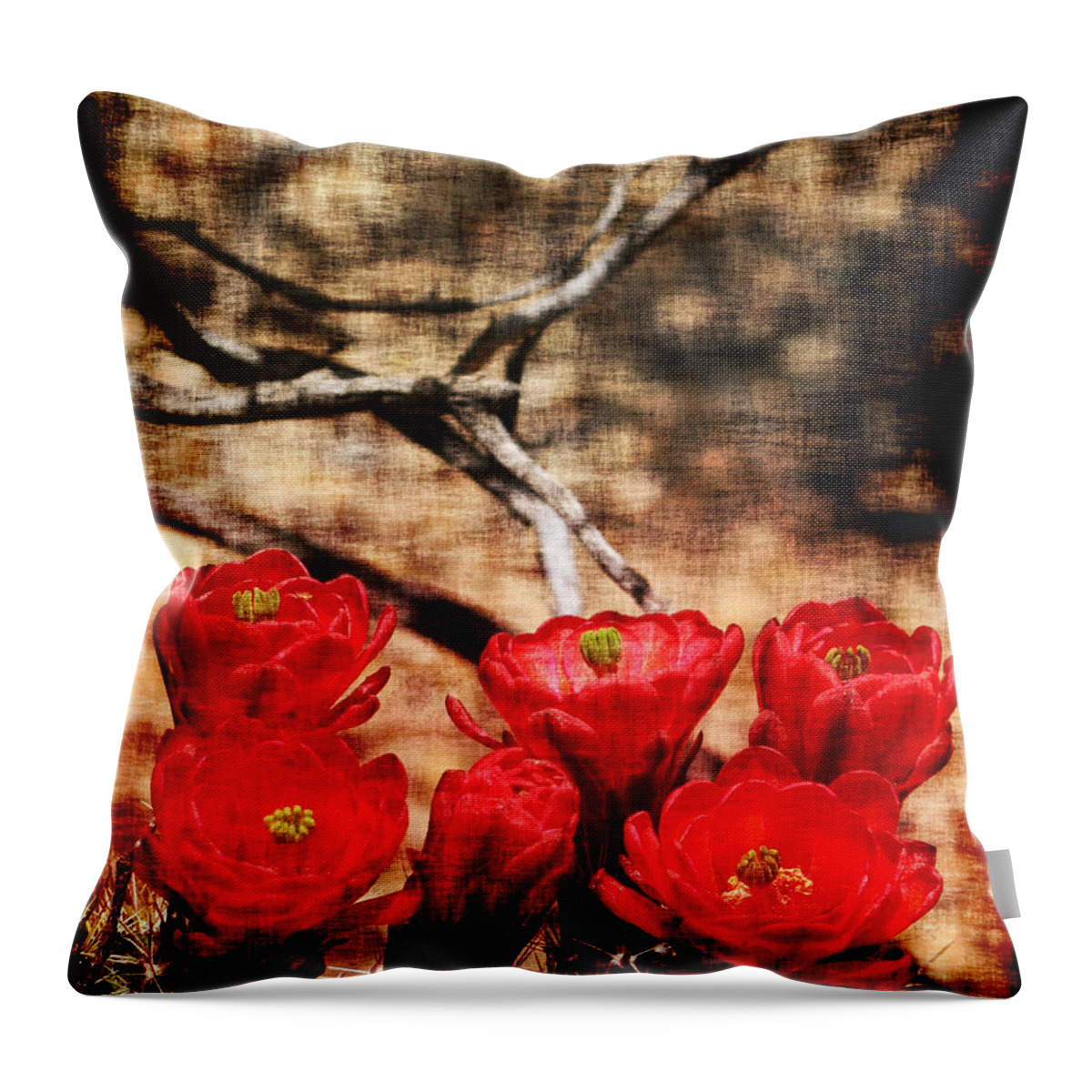 Cactus Throw Pillow featuring the photograph Cactus Flowers 2 by Julie Lueders 