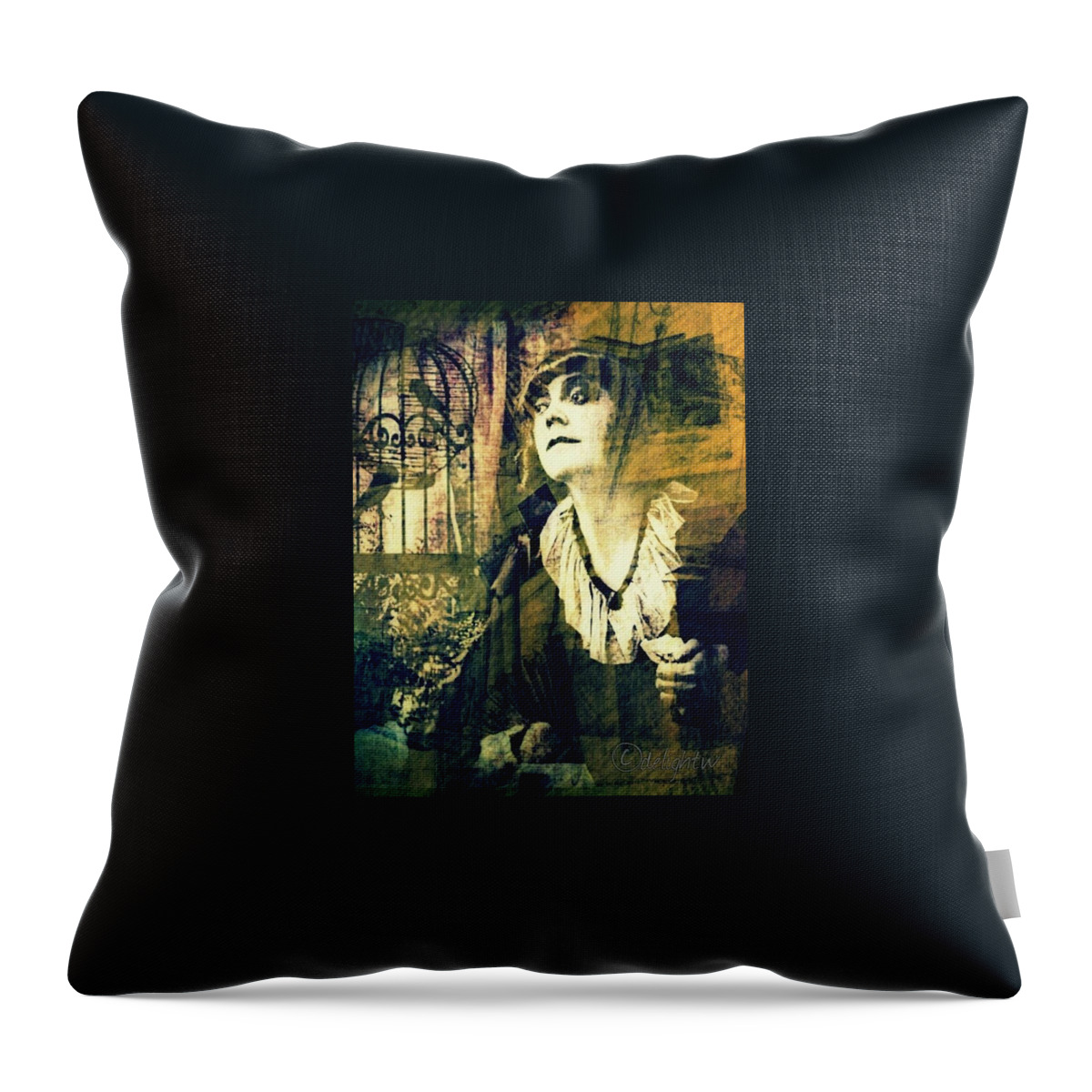 Birdcage Throw Pillow featuring the digital art Blueprint for the Frightened by Delight Worthyn
