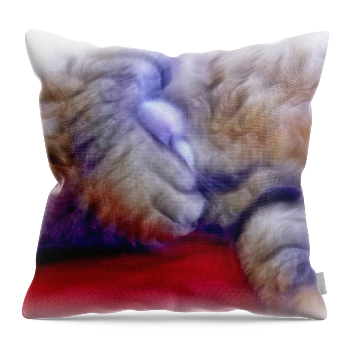 Cat Throw Pillow featuring the photograph Camera Shy Kitty by Lilia D