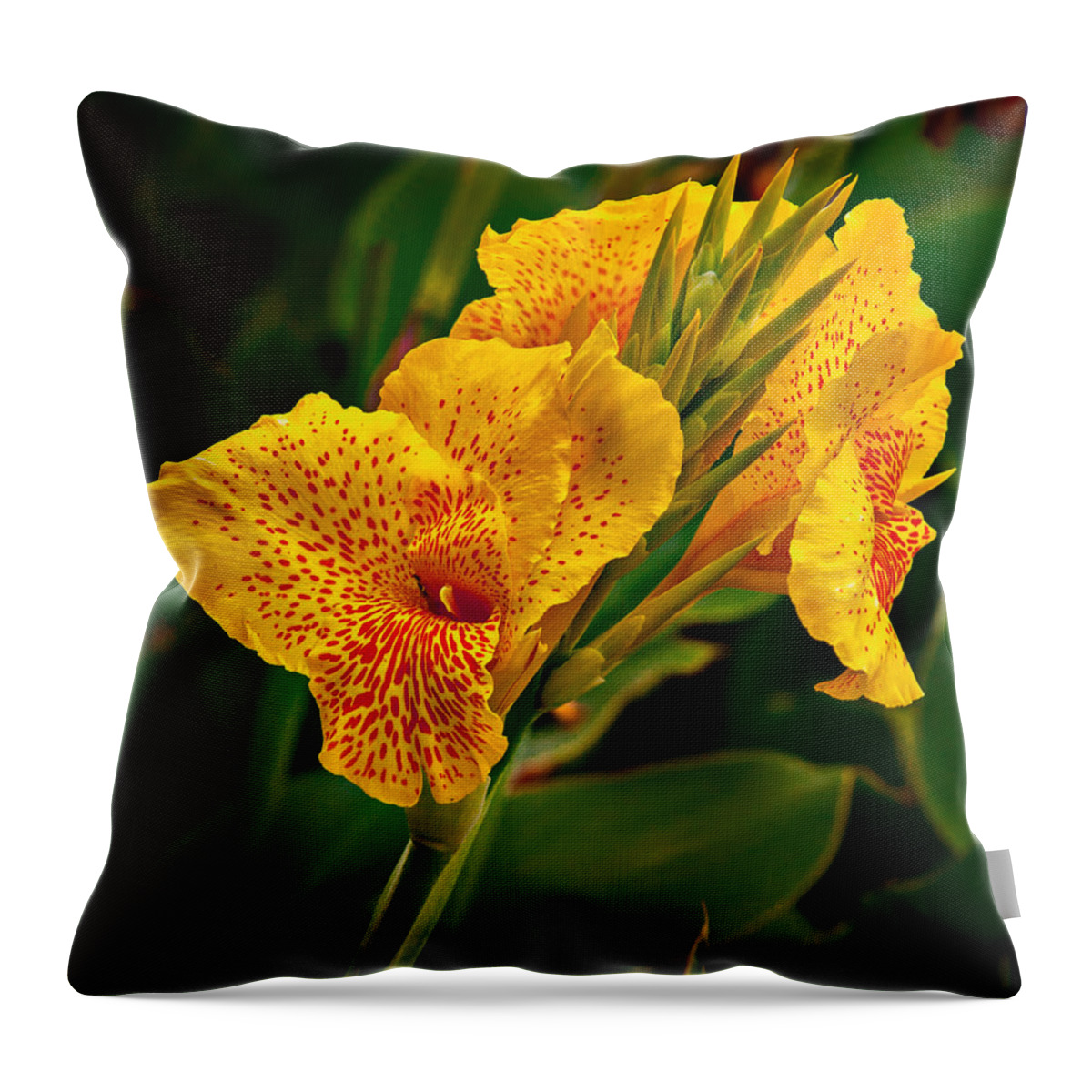Canna Throw Pillow featuring the photograph Canna Blossom by Mary Jo Allen