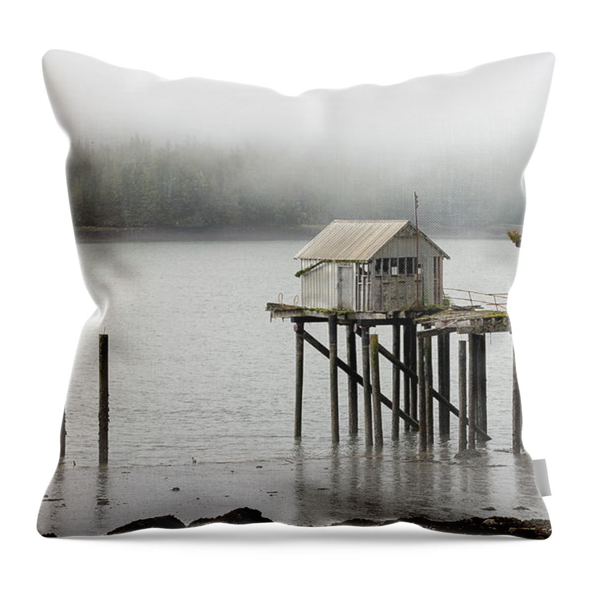 Landscapes Throw Pillow featuring the photograph Cannery Memories by Mary Lee Dereske