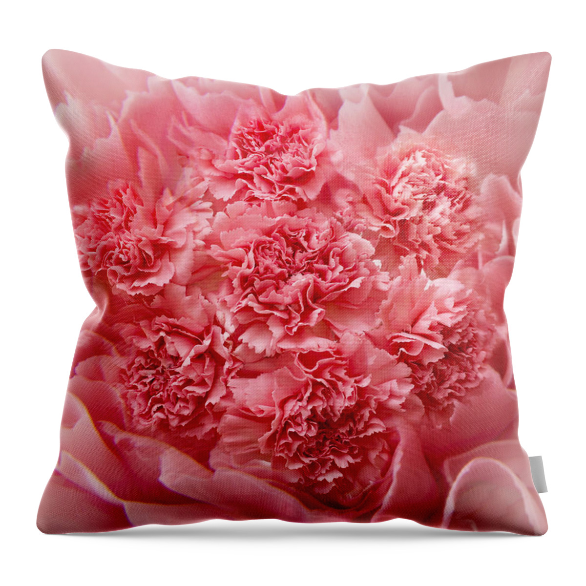 Pink Carnations Throw Pillow featuring the photograph Carnations by Marina Kojukhova