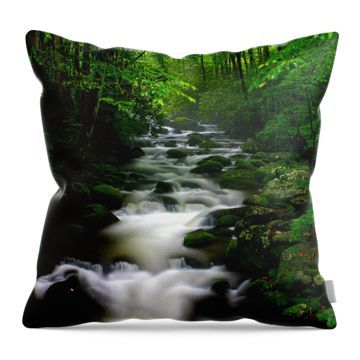 Nunweiler Throw Pillow featuring the photograph Escape by Nunweiler Photography