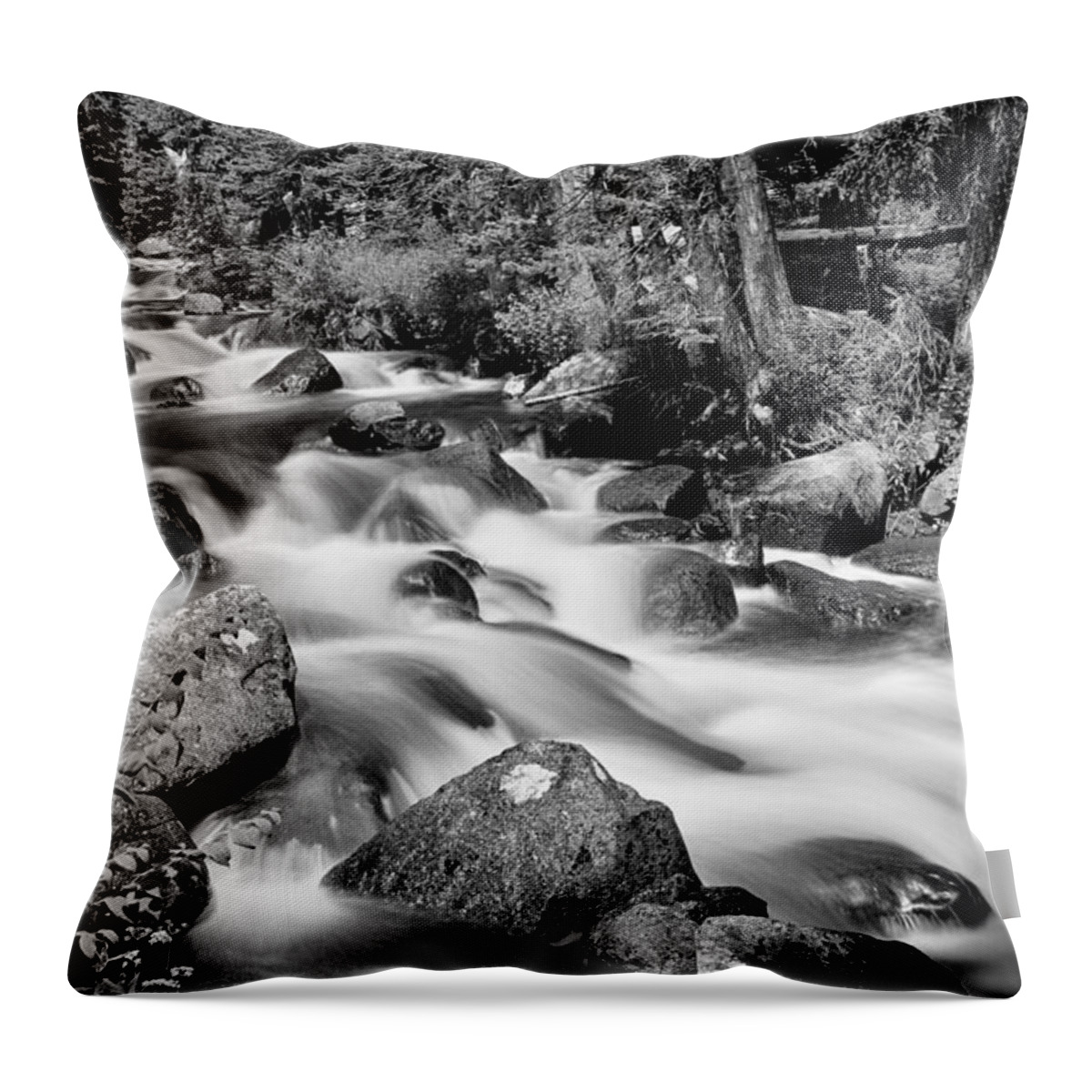 Mountain Stream Throw Pillow featuring the photograph Cascading Rocky Mountain Forest Creek BW by James BO Insogna