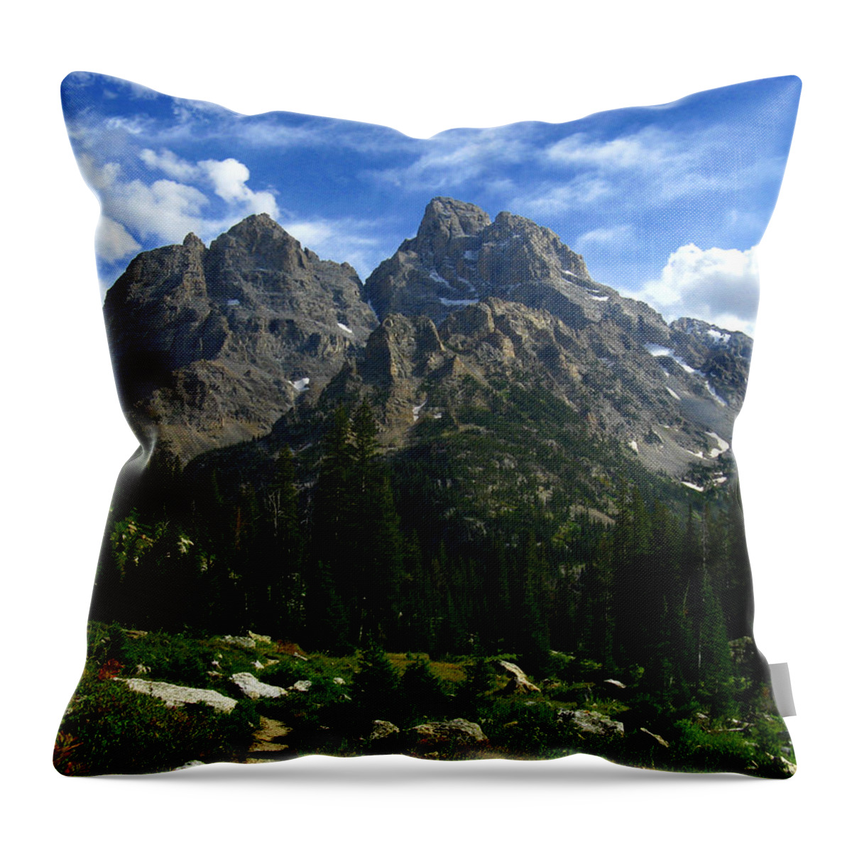 The Cathedral Group Throw Pillow featuring the photograph Cathedral Group from the Northwest by Raymond Salani III
