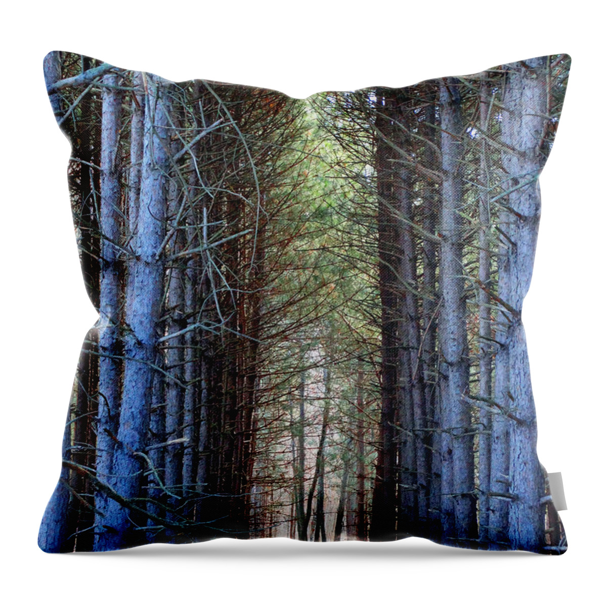 Pines Throw Pillow featuring the photograph Cathedral of Pines by David T Wilkinson