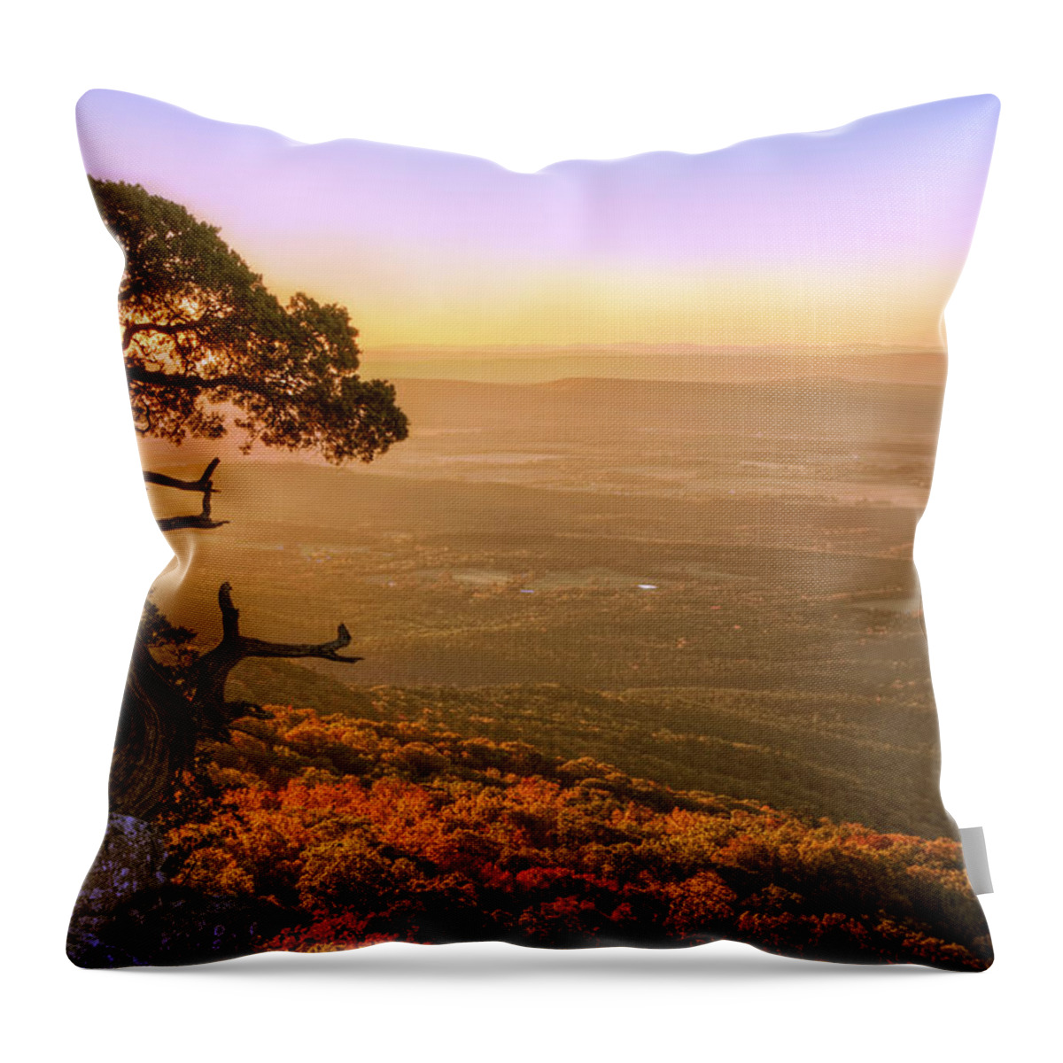 Mt. Magazine Throw Pillow featuring the photograph Cedar Tree atop Mt. Magazine - Arkansas - Autumn by Jason Politte
