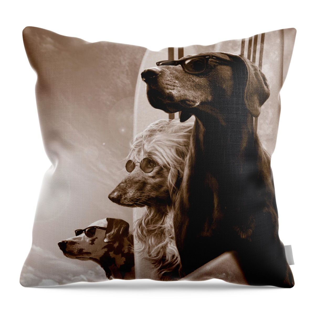 Animal Throw Pillow featuring the photograph Changes by MGL Meiklejohn Graphics Licensing