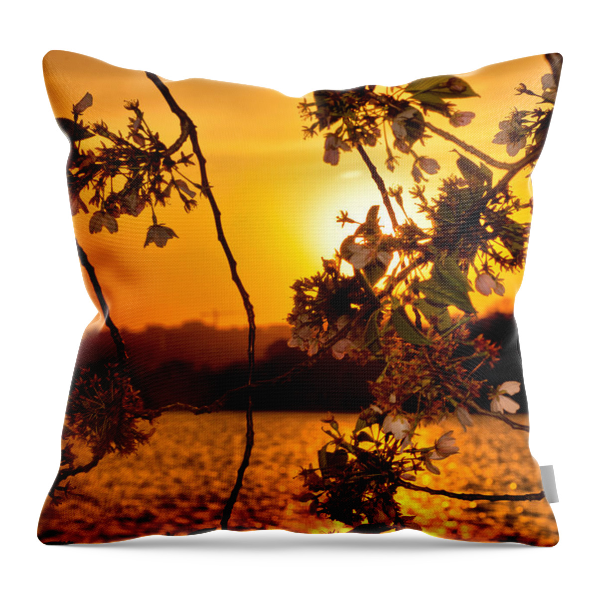 America Throw Pillow featuring the photograph Cherry Blossom Sunset by Mitchell R Grosky