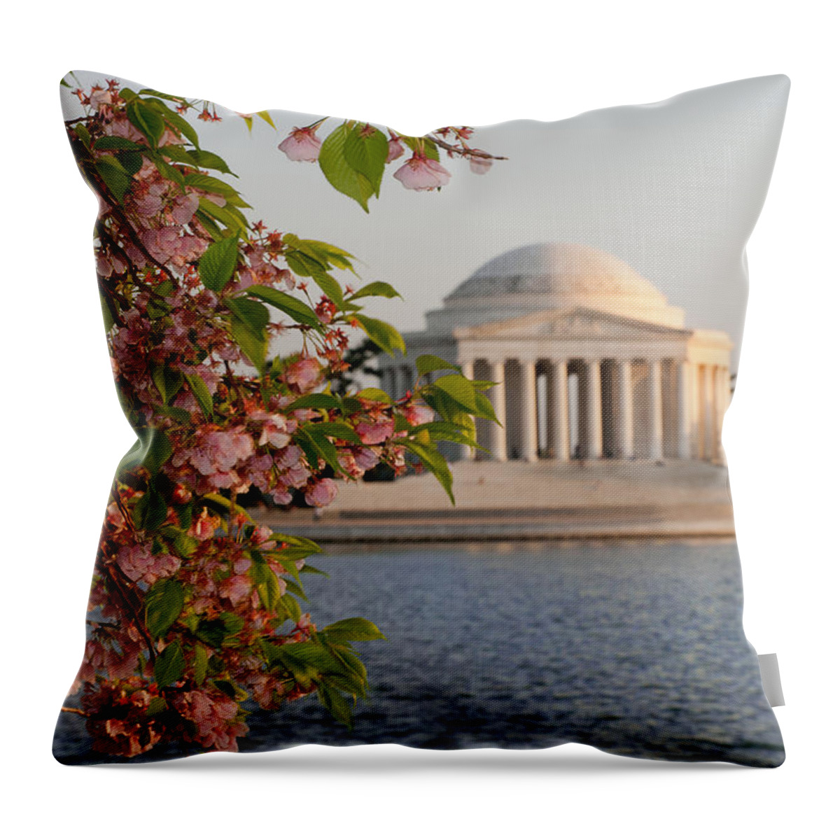 America Throw Pillow featuring the photograph Cherry Blossoms and the Jefferson Memorial 3 by Mitchell R Grosky