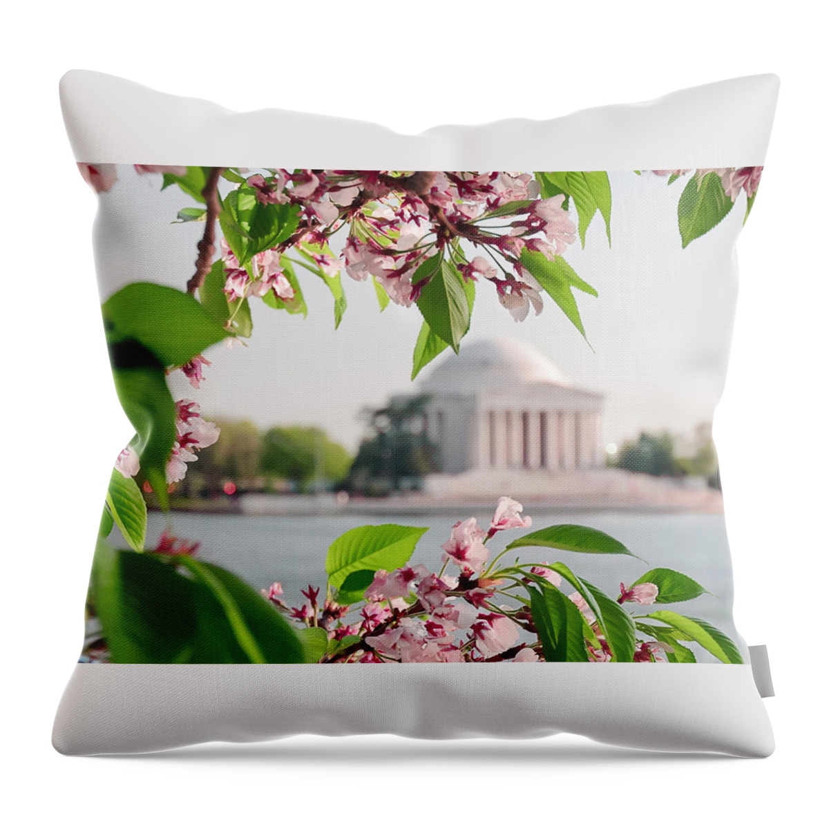 America Throw Pillow featuring the photograph Cherry Blossoms and the Jefferson Memorial by Mitchell R Grosky