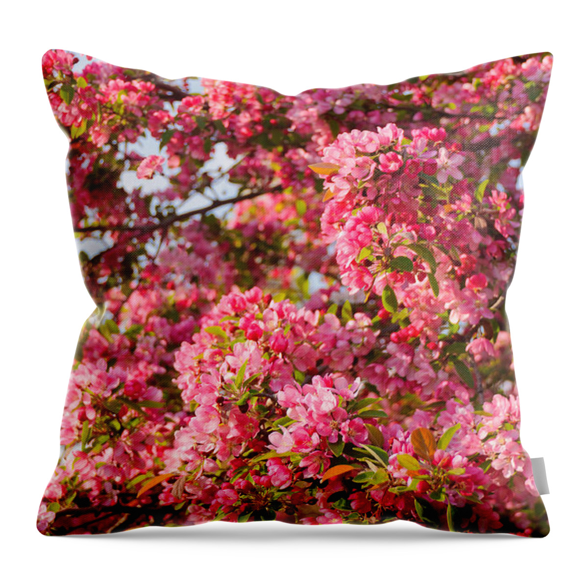 America Throw Pillow featuring the photograph Cherry Blossoms in Washington D.C. by Mitchell R Grosky