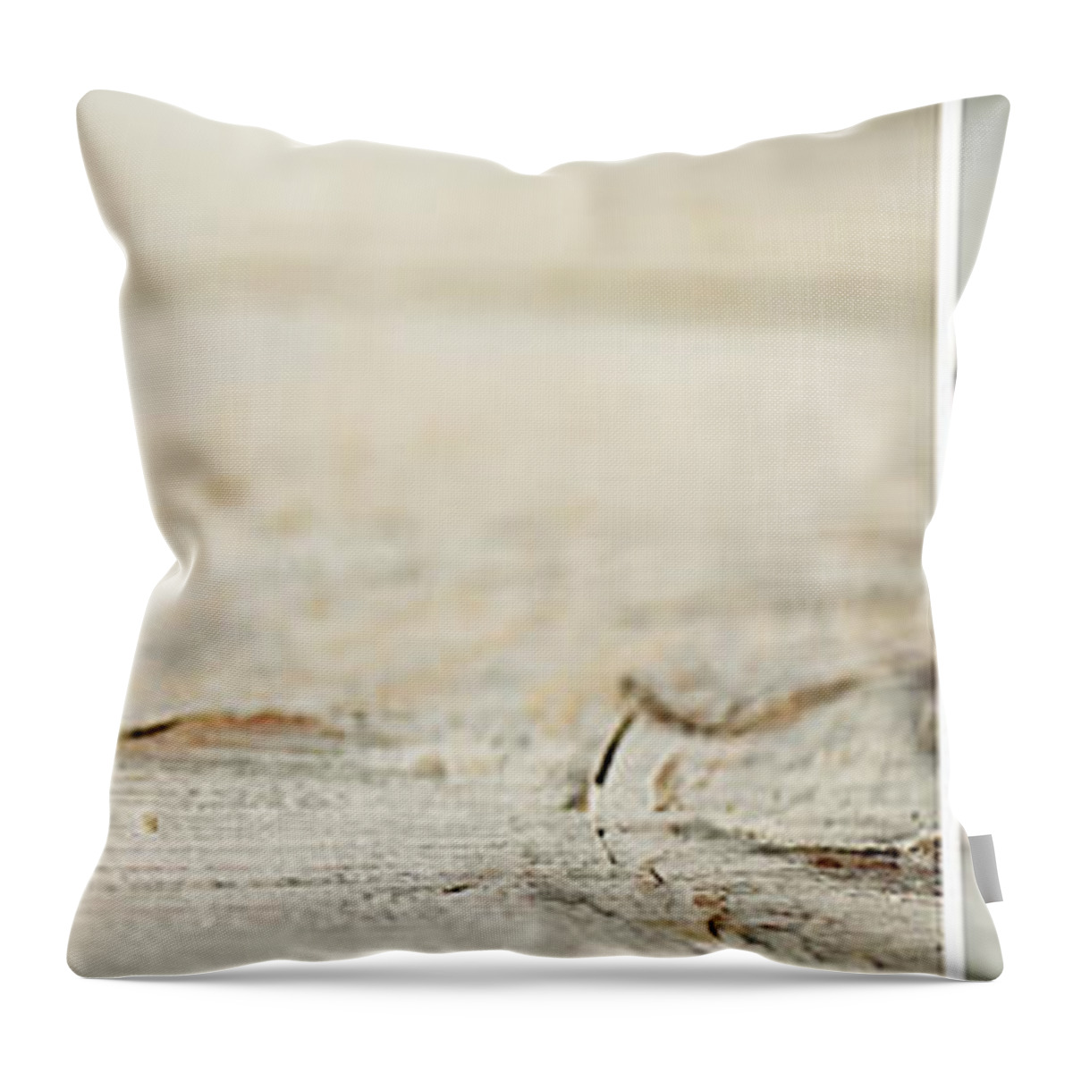 Panorama Throw Pillow featuring the photograph Cherry by Nailia Schwarz