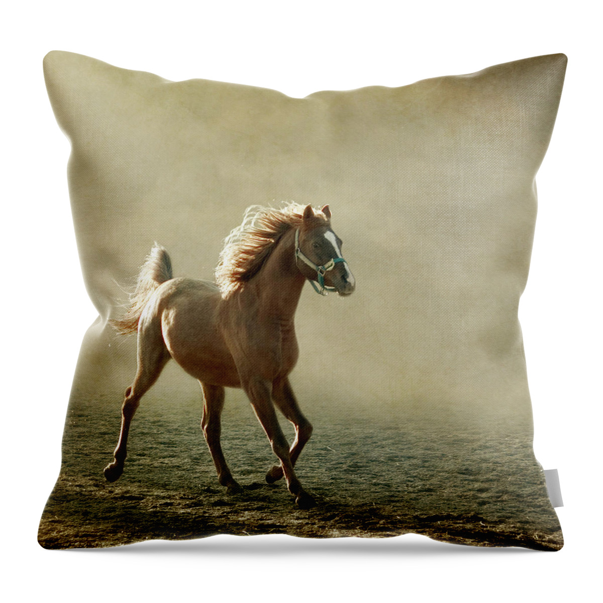 Horse Throw Pillow featuring the photograph Chestnut Arabian Horse by Christiana Stawski