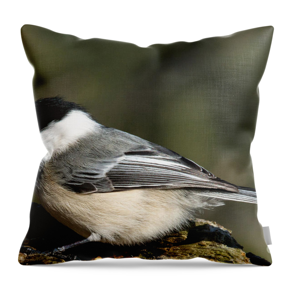 Tongue Throw Pillow featuring the photograph Chickadee with prize by Cheryl Baxter