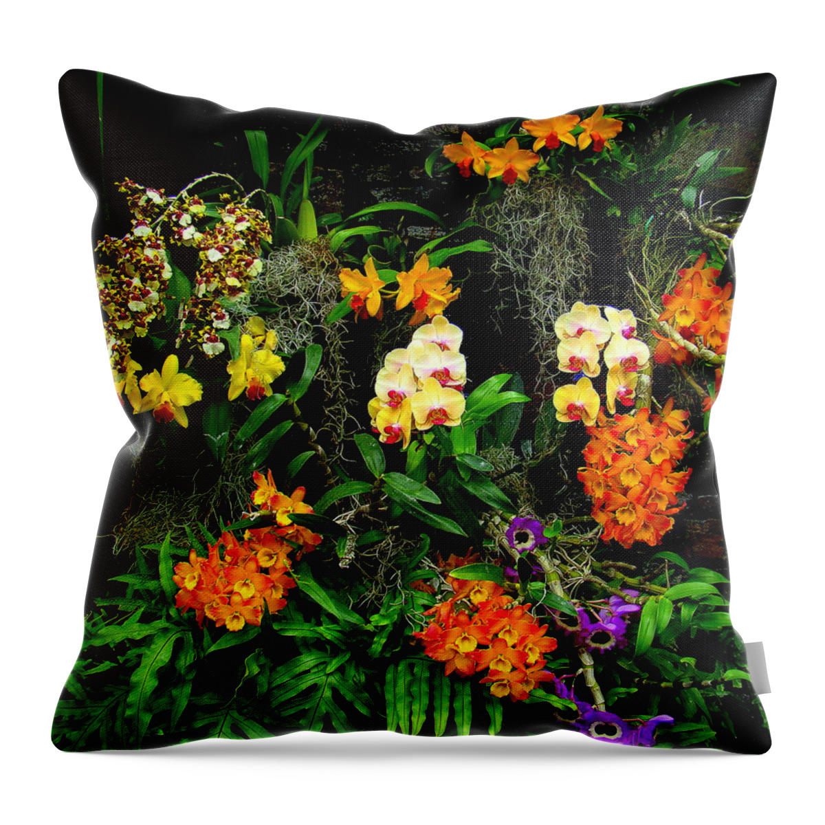 Fine Art Throw Pillow featuring the photograph Chorus by Rodney Lee Williams