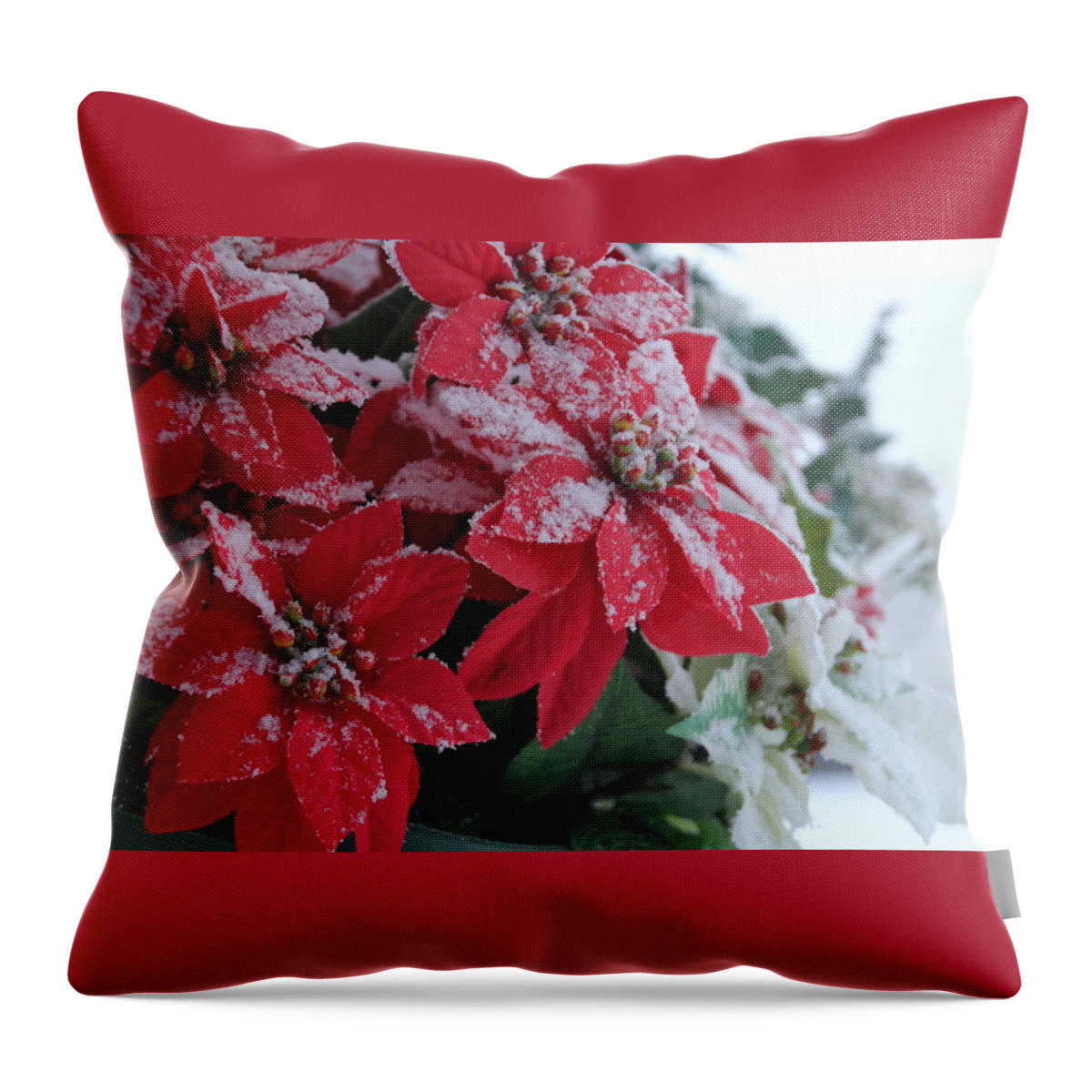 Poinsettia Throw Pillow featuring the photograph Christmas Poinsettia Flowers by Valerie Collins