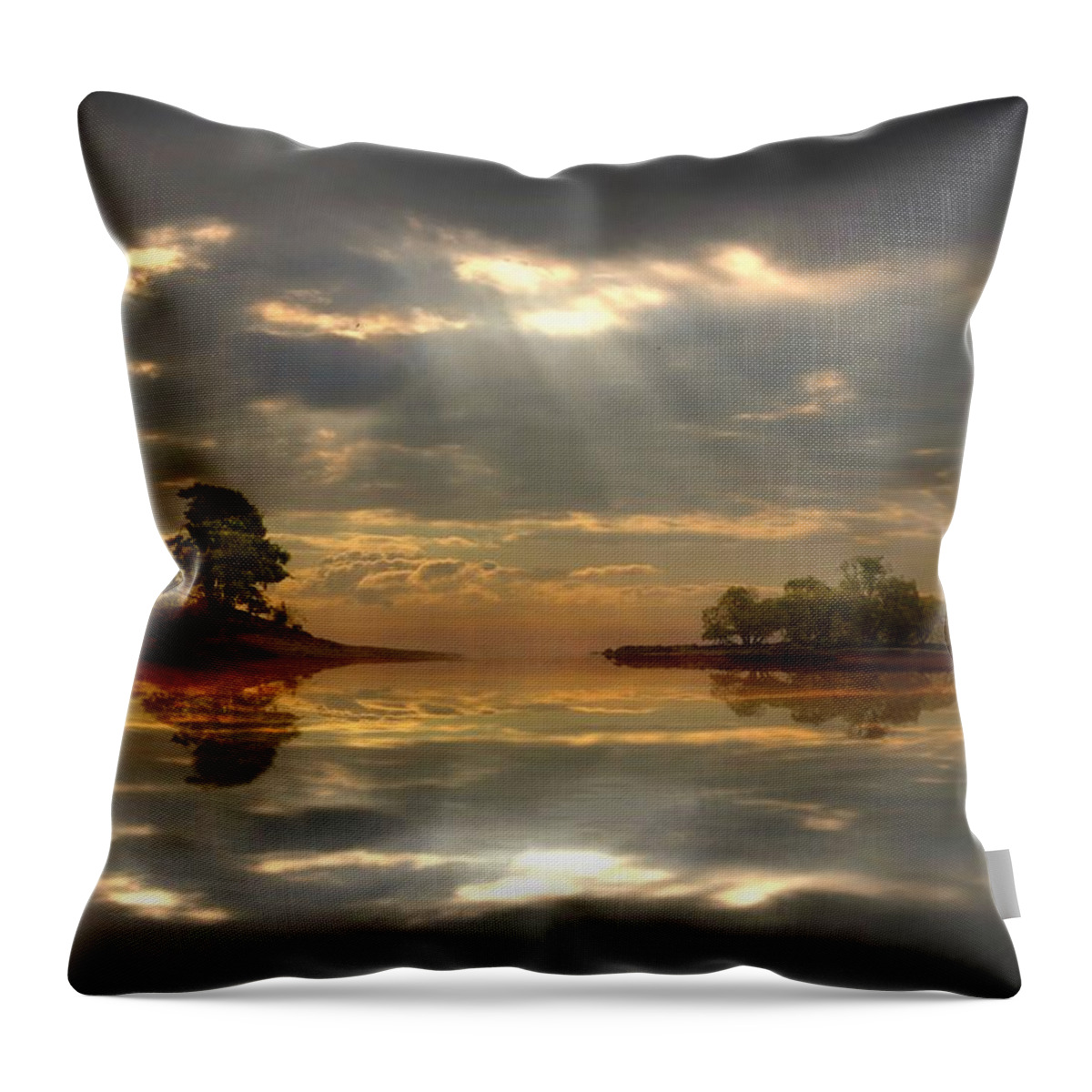 Dreamy Landscape Throw Pillow featuring the digital art Cloudy afternoon by Lilia D